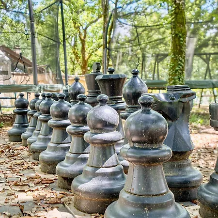 Morille * Salignac Eyvigues