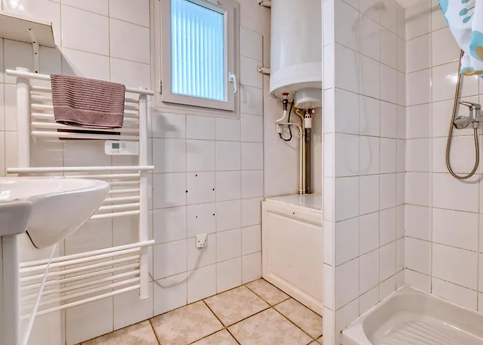 Morille Salignac Eyvigues