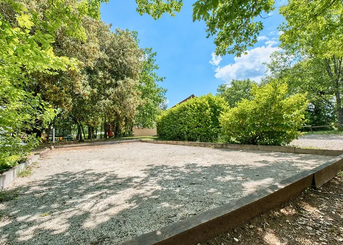 Morille Salignac Eyvigues