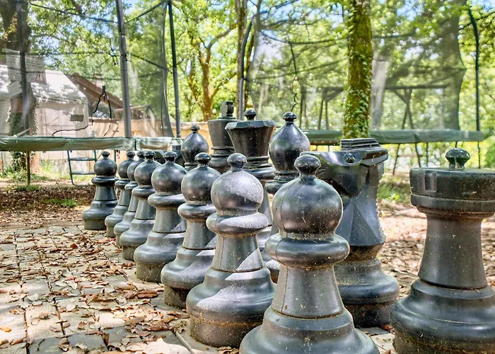 Morille * Salignac Eyvigues